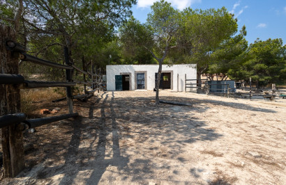 Resale - Finca / Country Property - Torremendo