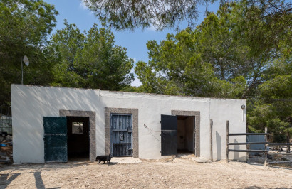 Resale - Finca / Country Property - Torremendo