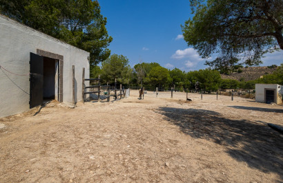 Resale - Finca / Country Property - Torremendo