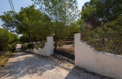 Resale - Finca / Country Property - Torremendo