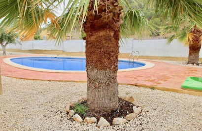 New Build - Detached Villa - La Romana - Villas de la Romana