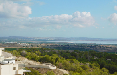 Resale - Detached Villa - San Miguel de Salinas