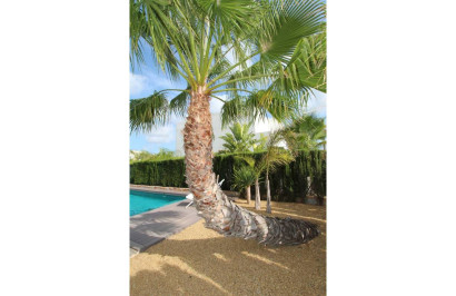 Resale - Detached Villa - Rojales - Cuidad Quesada