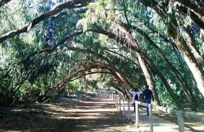 New Build - Apartment / Flat - Torrevieja - Altos del Sol