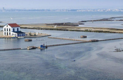 Obra nueva - Villa independiente - San Pedro del Pinatar - Centro