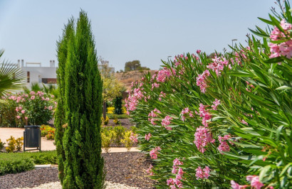 New Build - Apartment / Flat - Orihuela - Entre Naranjos