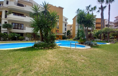 Revente - Appartement - Punta Prima