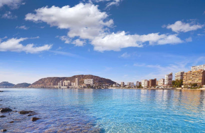 Nieuwbouw Woningen - Vrijstaande villa - Els Poblets - Partida Barranquets