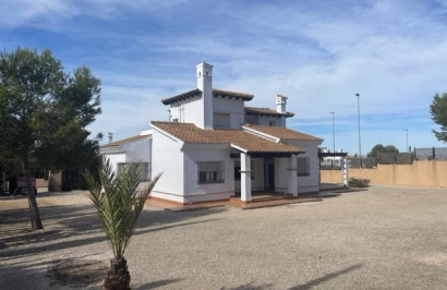 New Build - Detached Villa - Fuente Álamo - Las Palas