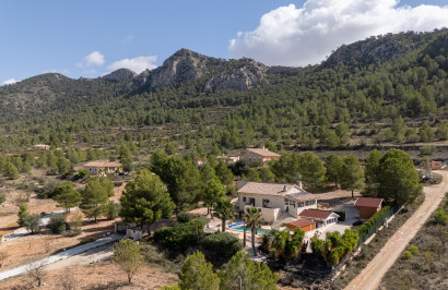 Revente - Villa Individuelle - La Zarza