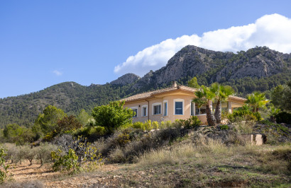 Herverkoop - Vrijstaande villa - La Zarza - La Zarza Murcia