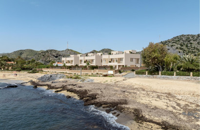 New Build - Detached Villa - Cuevas Del Almanzora - Cala Panizo