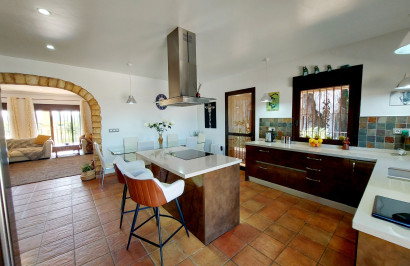 Resale - Finca / Country Property - Bigastro