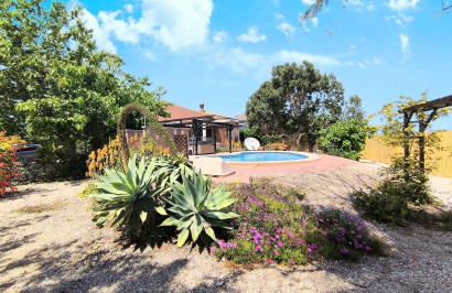 Reventa - Finca / Propiedad de Campo - Orihuela