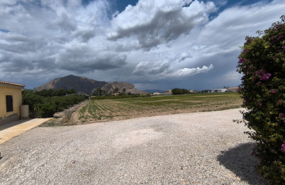Reventa - Finca / Propiedad de Campo - Orihuela