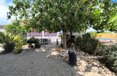 Reventa - Finca / Propiedad de Campo - Orihuela