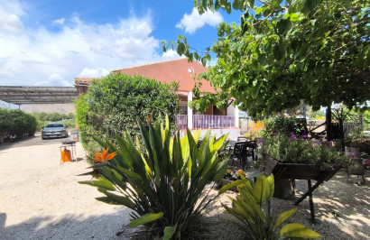 Reventa - Finca / Propiedad de Campo - Orihuela