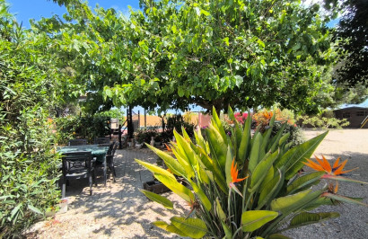 Reventa - Finca / Propiedad de Campo - Orihuela