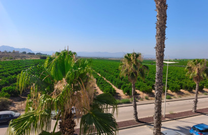 Revente - Villa Jumelée - Algorfa