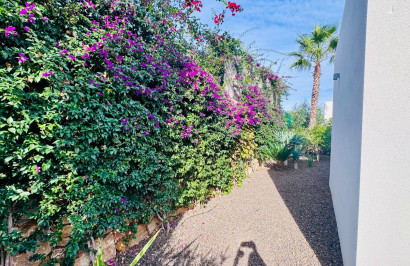 Reventa - Villa independiente - Algorfa