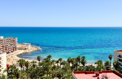 Reventa - Apartamento / Piso - Torrevieja