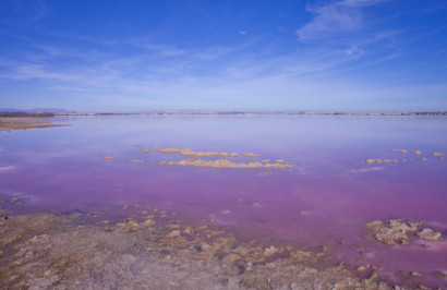 Resale - Detached Villa - Los Altos