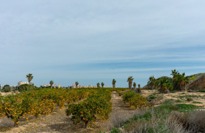 Resale - Detached Villa - Los Altos