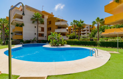 Herverkoop - Appartement / Flat - Punta Prima