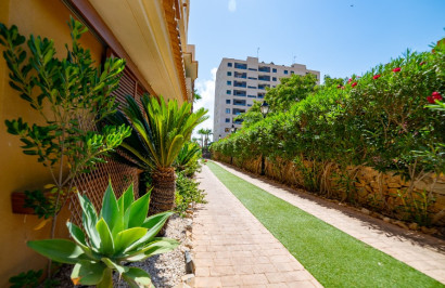 Herverkoop - Appartement / Flat - Punta Prima