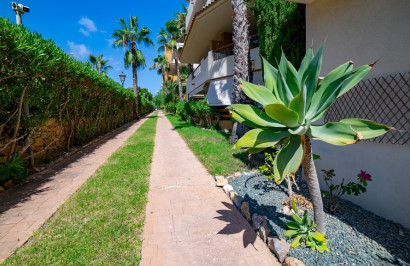 Herverkoop - Appartement / Flat - Punta Prima