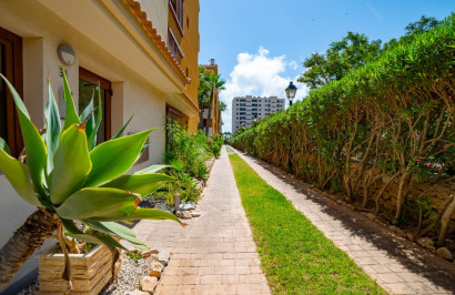 Herverkoop - Appartement / Flat - Punta Prima