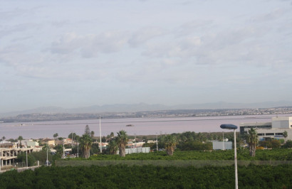 Obra nueva - Casa de Pueblo - Torrevieja - Los Altos