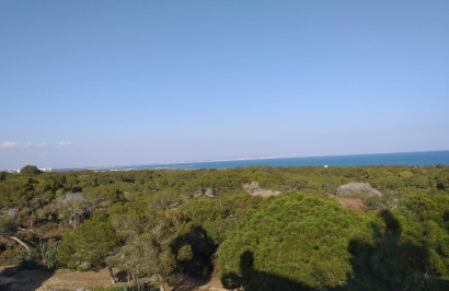 New Build - Apartment / Flat - Guardamar del Segura - Pueblo