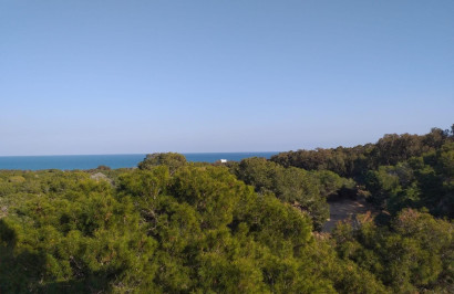 New Build - Apartment / Flat - Guardamar del Segura - Pueblo