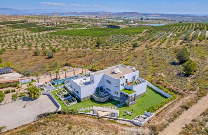 Resale - Detached Villa - Torremendo