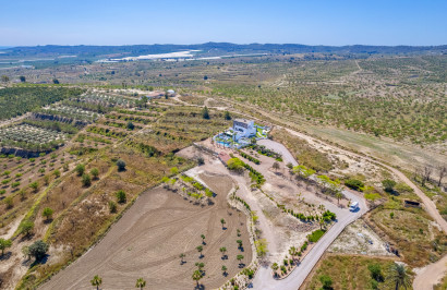 Resale - Detached Villa - Torremendo