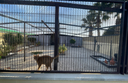 Revente - Finca / Propriété de campagne - Elche - Las Bayas