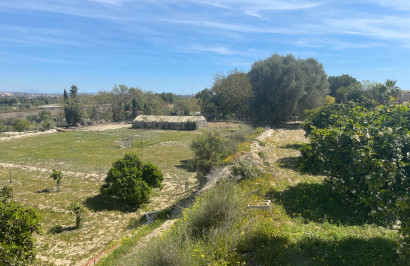 Resale - Detached Villa - Guardamar del Segura - Valencian Community