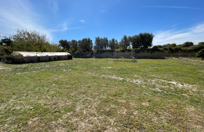 Resale - Detached Villa - Guardamar del Segura - Valencian Community