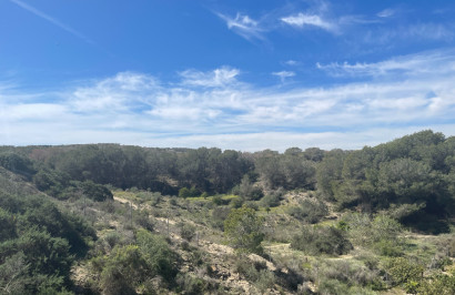 Resale - Detached Villa - Guardamar del Segura - Valencian Community