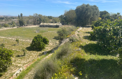 Resale - Detached Villa - Guardamar del Segura - Valencian Community