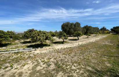 Resale - Detached Villa - Guardamar del Segura - Valencian Community