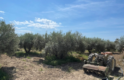 Reventa - Villa independiente - Crevillente