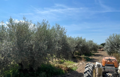 Reventa - Villa independiente - Crevillente