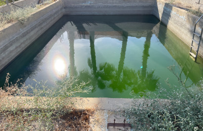 Reventa - Villa independiente - Crevillente