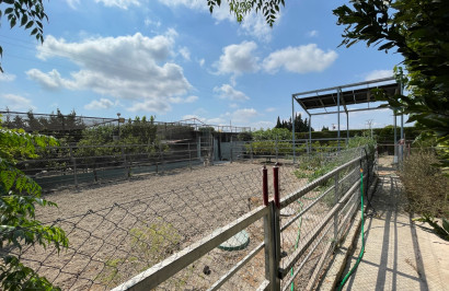 Resale - Detached Villa - San Fulgencio - La Marina