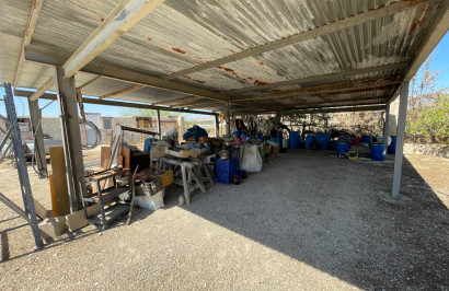 Reventa - Villa independiente - Crevillente