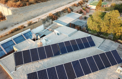 Revente - Finca / Propriété de campagne - Crevillente