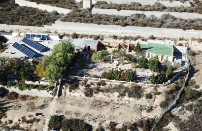 Revente - Finca / Propriété de campagne - Crevillente