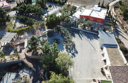 Revente - Finca / Propriété de campagne - Crevillente